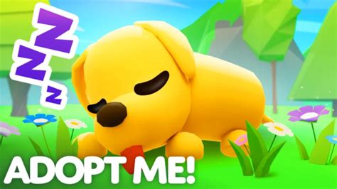 adopt me roblox sajikan aman terpercaya tanpa potongan biaya untuk pemain arena tinggi setelah itu beli catalyst pemain clash f2p image 1