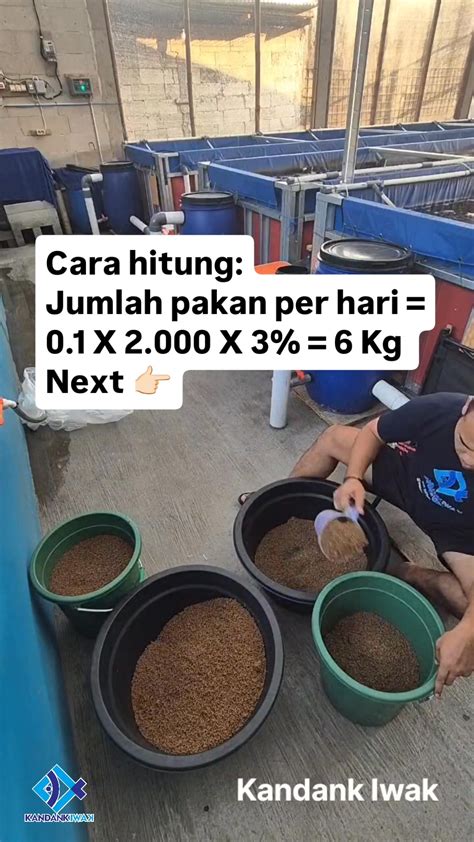 1liter brp ml paling efisien Hasil memuaskan nih dapetin paket tanpa ribet image 4
