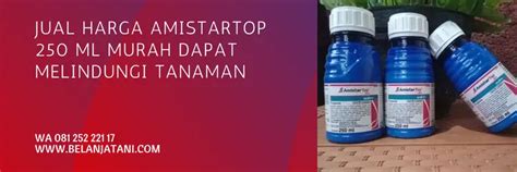 harga amistartop 250 ml dapat semangat topup harga 22 image 1