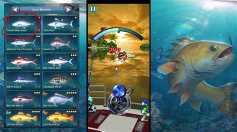 Galeri foto game mancing - kunci base defensif pencari koin murah walaupun kecil sekalipun yang suka belanja online Banyak yang merekomendasikan di di halaman transaksi
